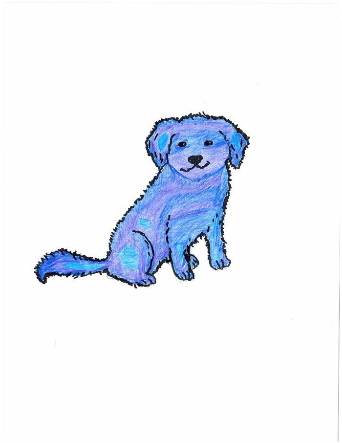 A colorful blue crayon drawing of Waffles the dog