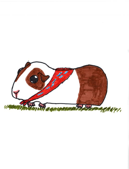A marker drawing of Pickle wearing a red bandana on the grass